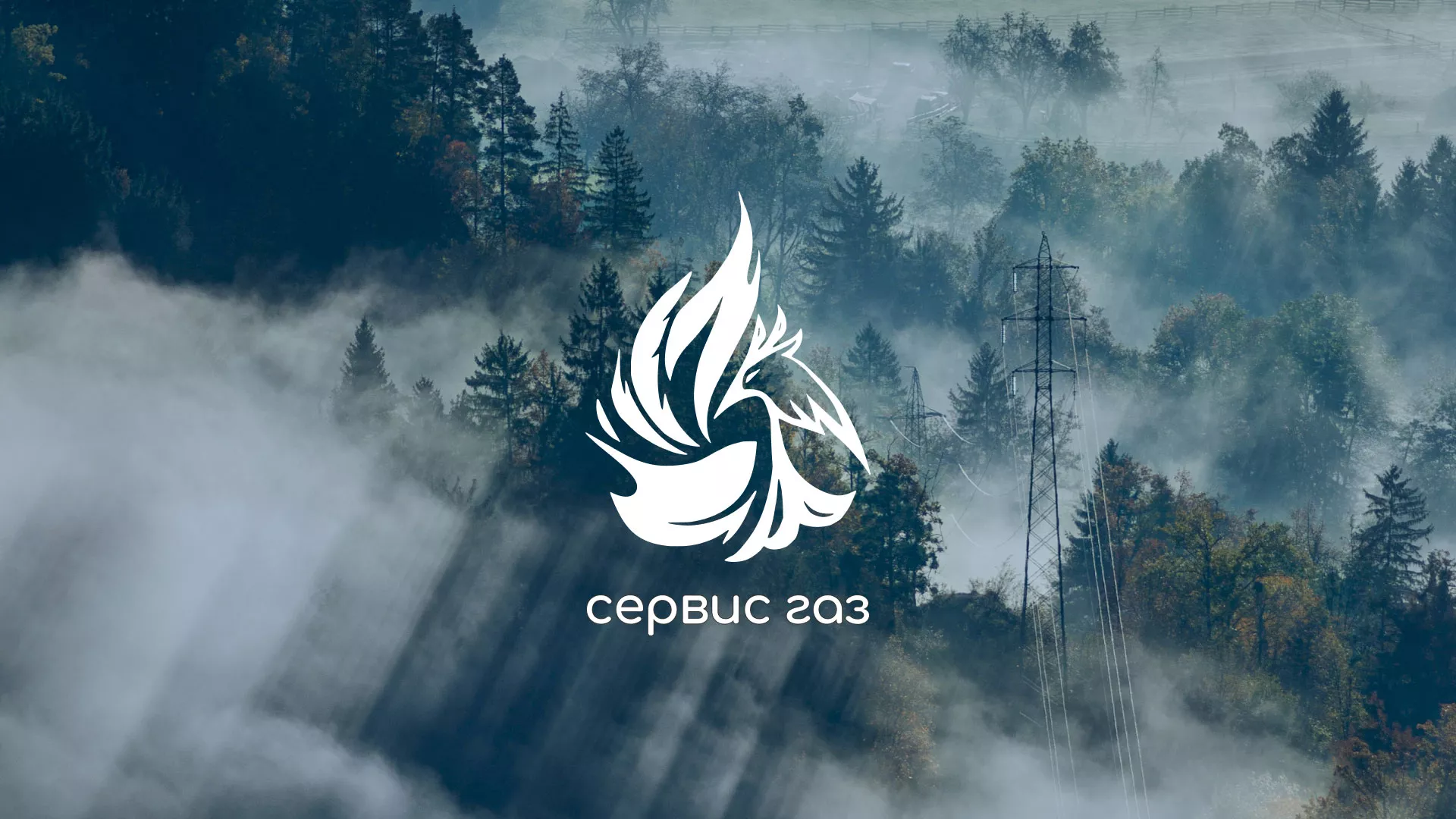Создание сайта компании «Сервис газ» в Дальнегорске