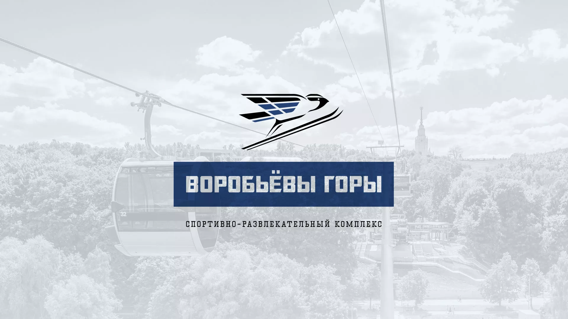 Разработка сайта в Дальнегорске для спортивно-развлекательного комплекса «Воробьёвы горы»
