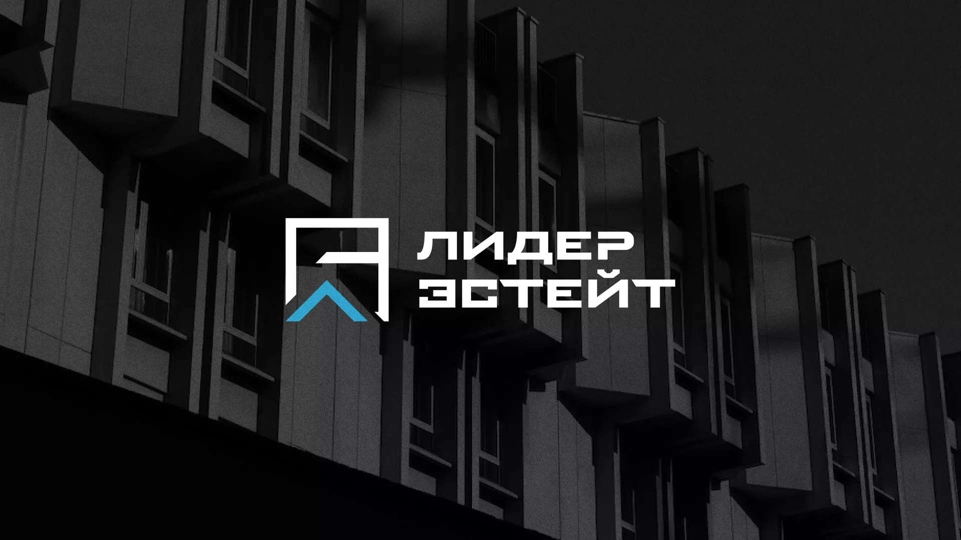 Разработка логотипа агентства недвижимости «Лидер Эстейт» в Дальнегорске